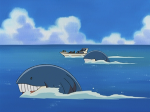 AG095 - Wailmer.png