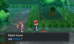 Forêt de Neuvartault Potion Entrée XY.png
