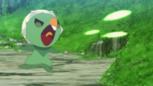 LH052 - Pimito Balle Graine.png