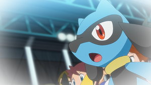 LV084 - Riolu de Sacha (Flash-back).png