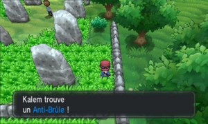 Route 10 Anti-Brûle XY.png