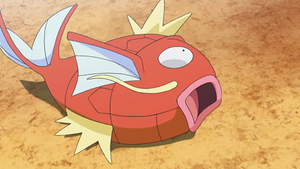 SL129 - Magicarpe d'un Dresseur.png