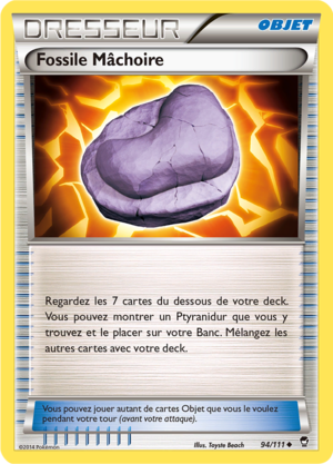 Carte XY Poings Furieux 94.png