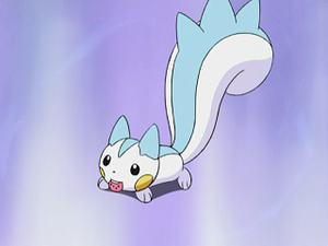 DP027 - Pachirisu d'Aurore.png