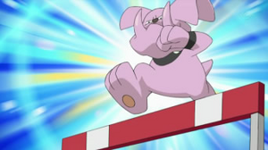DP160 - Granbull d'un Dresseur.png