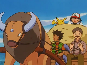 EP228 - Tauros de M. Shellby.png