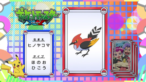 JP - QECP XY43.png