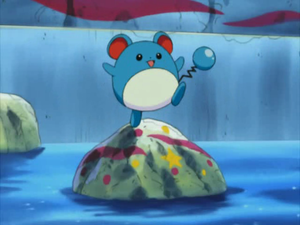 Marill de Lola.png