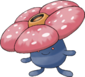 Rafflesia - 0045