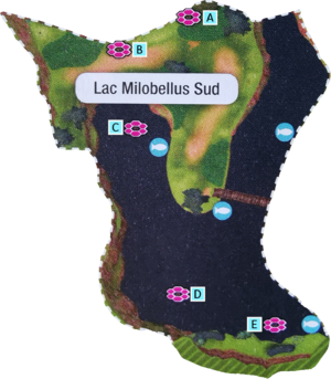 Lac Milobellus Sud Antres EB.png