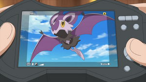 XY039 - Sonistrelle.png