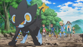 Luxray (de Lem)