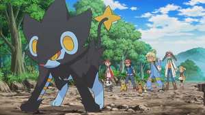 XY114 - Luxray de Lem.png