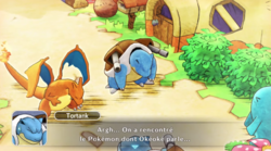 Dracaufeu et Tortank reviennent sur la Place Pokémon blessés