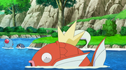 Magicarpe(de Goh)