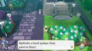 Lavanville Jolie Aile LGPE.jpg