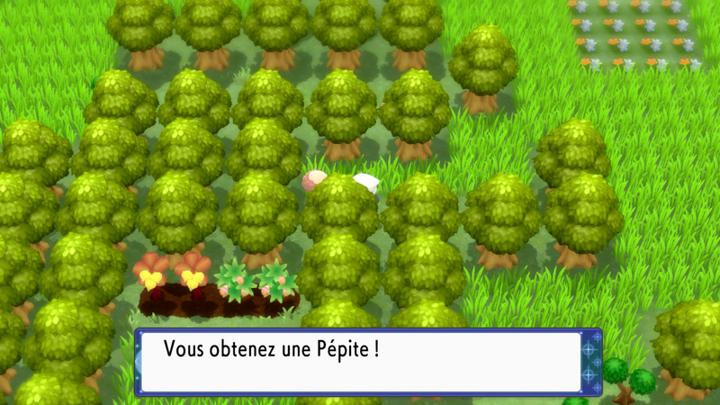 Fichier:Route 229 Pépite DEPS.png