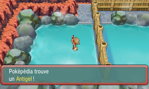 Vermilava Antigel ROSA.png