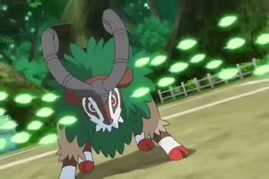 Chevroum Tranch'Herbe.png