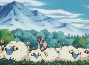 EP180 - Wattouat du vieil homme.png