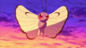 Papilusion de Sacha Film 20.png
