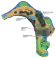 Plan de la Route 3 dans Pokémon Soleil et Lune.