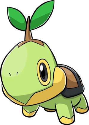 Tortipouss-Ra3.png