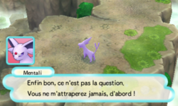 Mentali poursuivi par des adversaires invisibles.