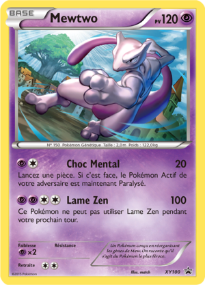 Carte Promo XY XY100.png