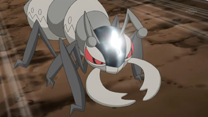 Fermite Tête de Fer.png