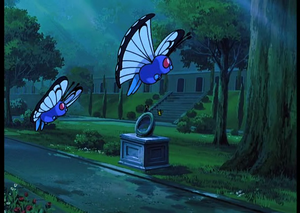 Film 05 - Papilusion Sauvages.png