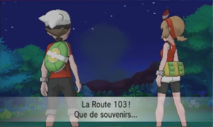 HoennShipping.png
