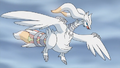 Reshiram (Galet Blanc ► Team Plasma ► sauvage)