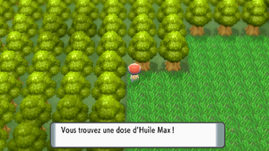 Rive du Lac Courage Huile Max DEPS.png