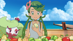 SL105 - Sucreine de Barbara.png