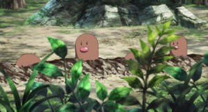 Taupiqueur sauvages - Film 20.png