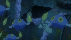 XY024 - Loupio.png
