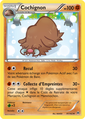 Carte XY Impulsion TURBO 81.png