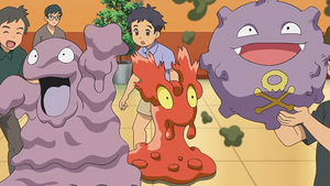 LV033 - Tadmorv, Limagma et Smogo d'un Dresseur.png