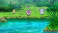 Roucool, Rattata et Nidoran♀ (sauvages)