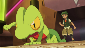XY064 - Arcko de Liam.png