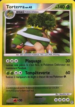 Torterra (Diamant & Perle 17)