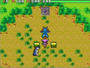 Forêt Oran (2) PDMTO.png