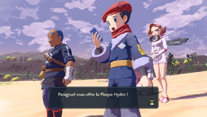Plage Ginkgo Plaque Hydro LPA.png