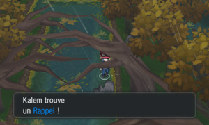 Route 14 Rappel XY.png