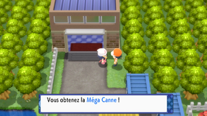 Aire de Combat Méga Canne DEPS.png