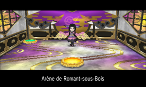 Arène de Romant-sous-Bois.png