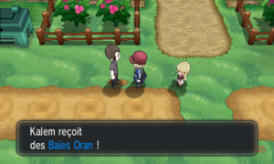 Champ de Baies Baies Oran XY.png