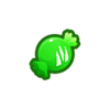 Plante
