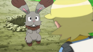 XY004 - Sapereau de Lem.png